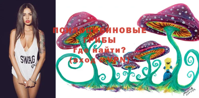 Галлюциногенные грибы MAGIC MUSHROOMS  Кологрив 